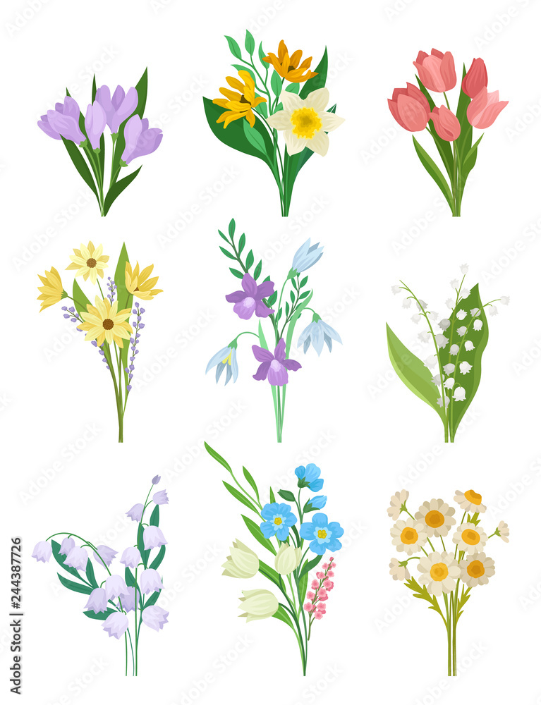 Flat vector set of spring bouquets. Beautiful flowers. Garden plants. Nature and botany theme