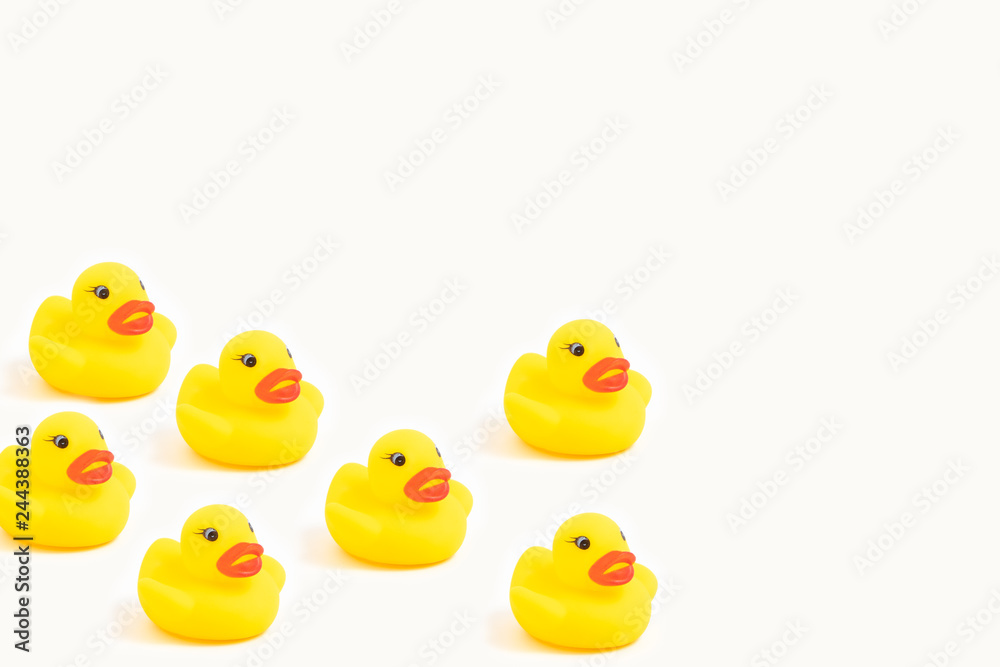yellow rubber ducks on white yellow rubber ducks on white