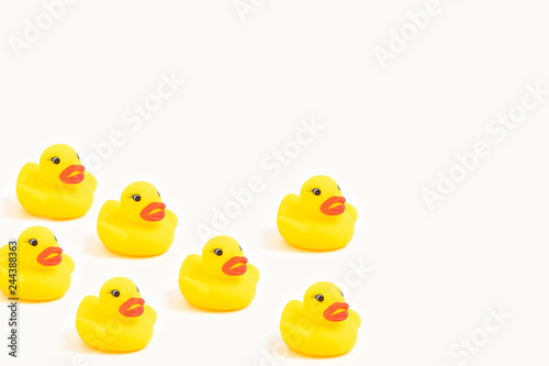 yellow rubber ducks on white