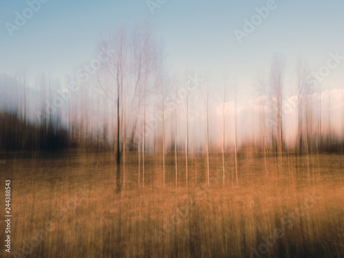 Intentionally blurry autumn, winter countryside landscape. Trees in golden field.