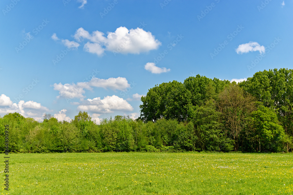 Typische Landschaft am Niederrhein