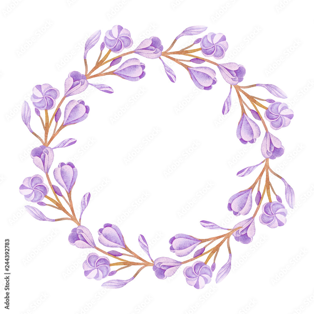 Fototapeta premium Illustration of watercolor hand drawn round frame with plumeria flowers isolated on white background. With space for your text. Wedding invitations, greeting cards, postcards. 