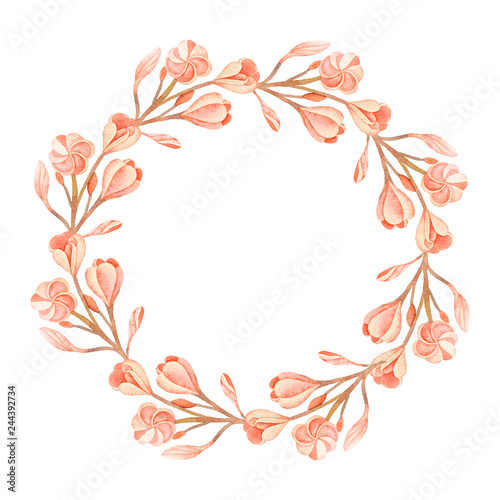 Wallpaper Mural Illustration of watercolor hand drawn round frame with plumeria flowers isolated on white background. With space for your text. Wedding invitations, greeting cards, postcards.  Torontodigital.ca