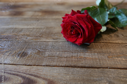 red rose on a wood with copy space for text