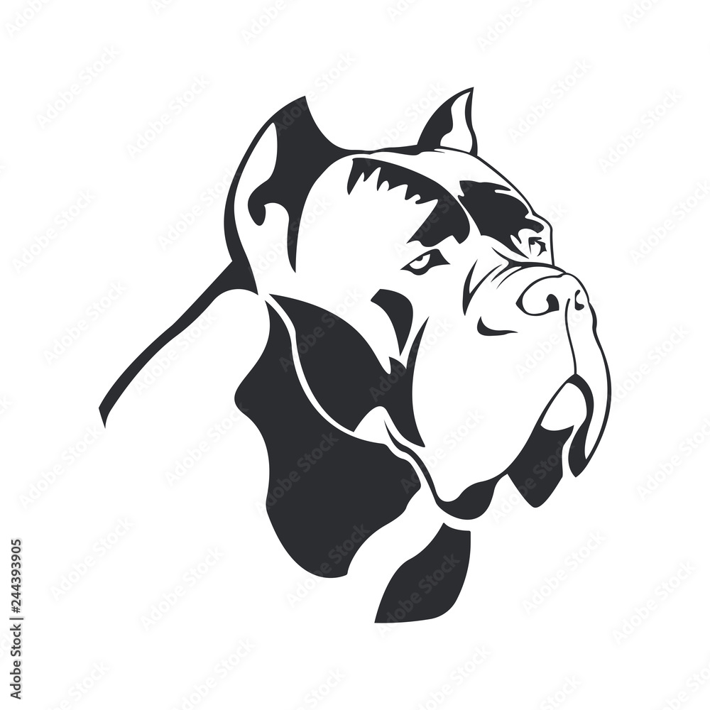 Black and white cane corso sales