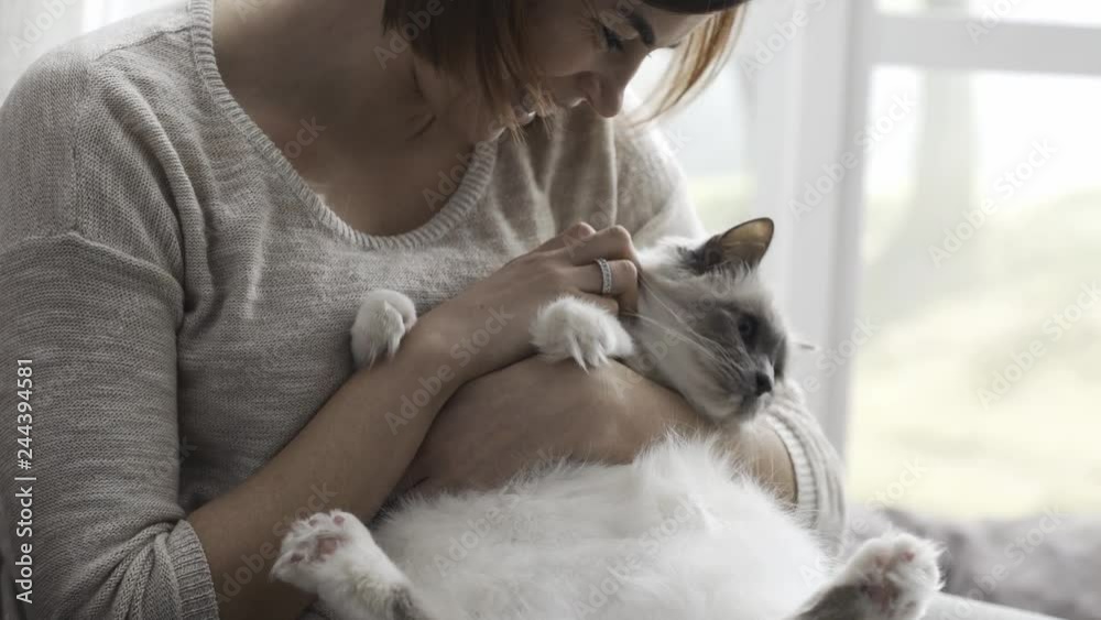 Woman petting her beautiful birman cat Woman petting her beautiful birman cat