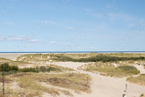 blick auf die sand dünen auf der nordsee insel borkum deutschland fotografiert während eines spaziergangs an einem sommer tag in farbe