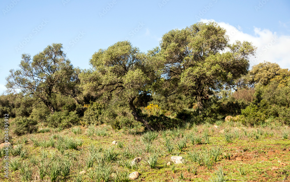 Mountains of the Sierra de Cazorla in the Spanish province of Jaen on a sunny day. Mountains of the Sierra de Cazorla in the Spanish province of Jaen on a sunny day.