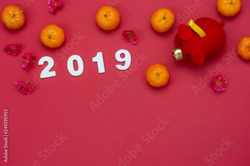 Chinese language mean rich or wealthy and happy.Table top view Lunar New Year & Chinese New Year concept background.Flat lay orange in basket and pig doll toy kid with 2019 text detail on red paper.