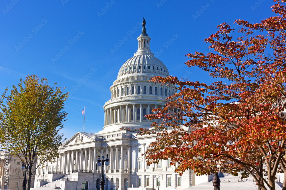 United States Capitol in autumn, Washington DC, USA. Architectural glory of neoclassical monument framed into natural beauty of deciduous trees in fall colors.