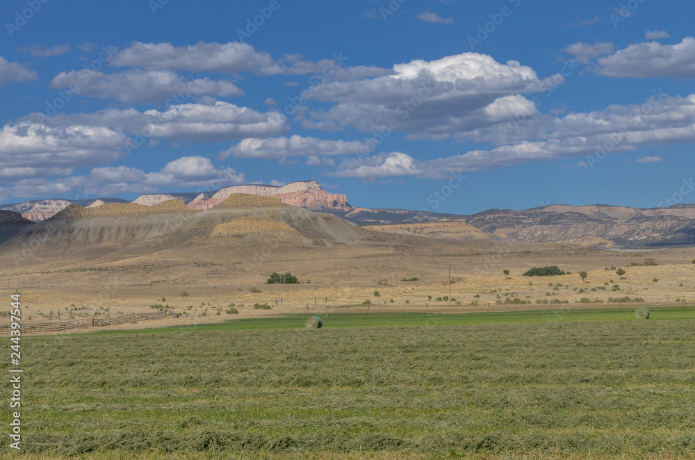 green farming lands in Tropic valley surrounded by sandstone buttes of Backbone Ridge (Garfield county, Utah)