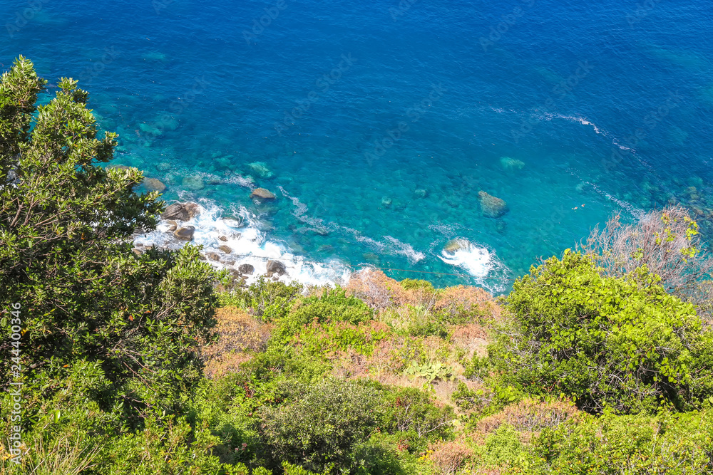 View of the tropical plants with the blue Mediterranean Sea in the a background on a bright sunny day. View of the tropical plants with the blue Mediterranean Sea in the a background on a bright sunny day.