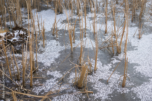 forzen water in pond in winter photo