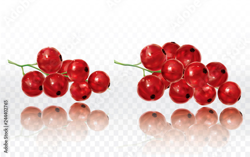 Currant red