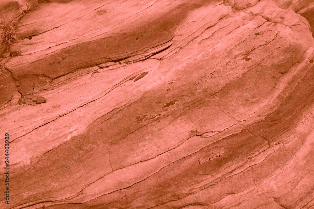 Naklejka premium Natural brown coral background and texture