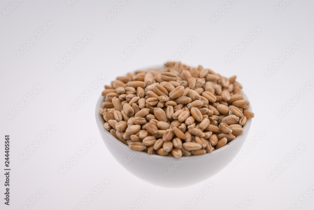 Oat Grains. Pile of grains, isolated white background Oat Grains. Pile of grains, isolated white background