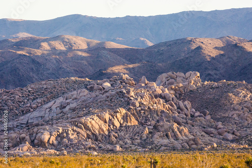 Landscape view of Joshua Tree National Park in California.