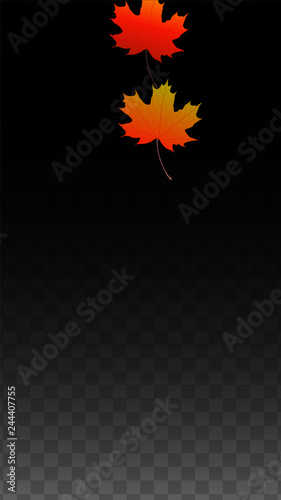 September Vector Background with Golden Falling Leaves. Autumn Illustration with Maple Red, Orange, Yellow Foliage. Isolated Leaf on Transparent Background. Bright Swirl. Suitable for Posters.