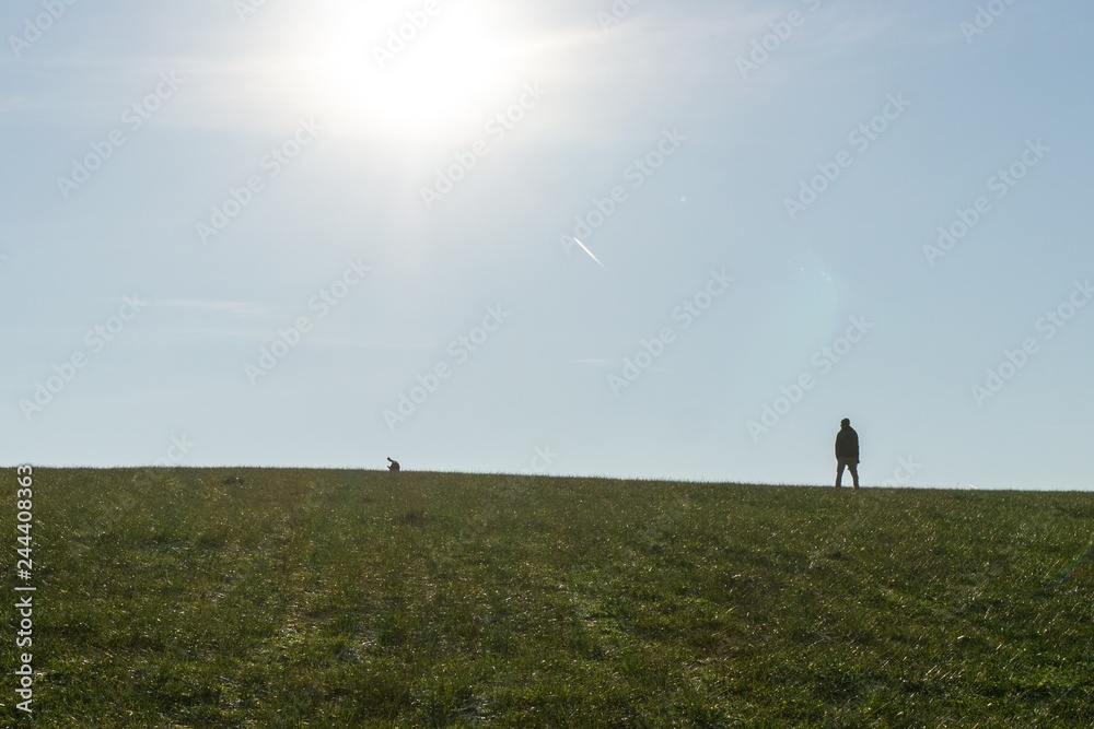 Fototapeta premium People walking a dog on meadow. Slovakia