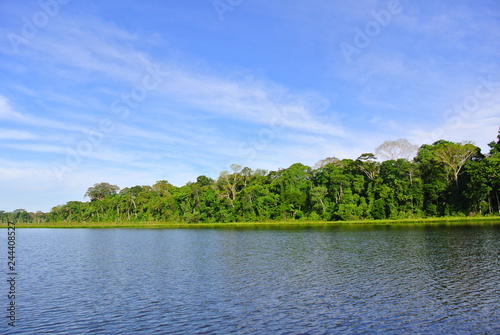 Regenwald, Peru