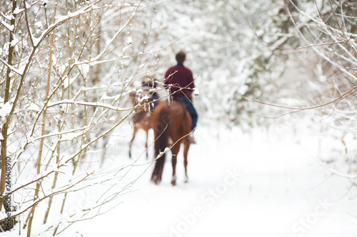 Two riders on the brown horses in the snow, rear view