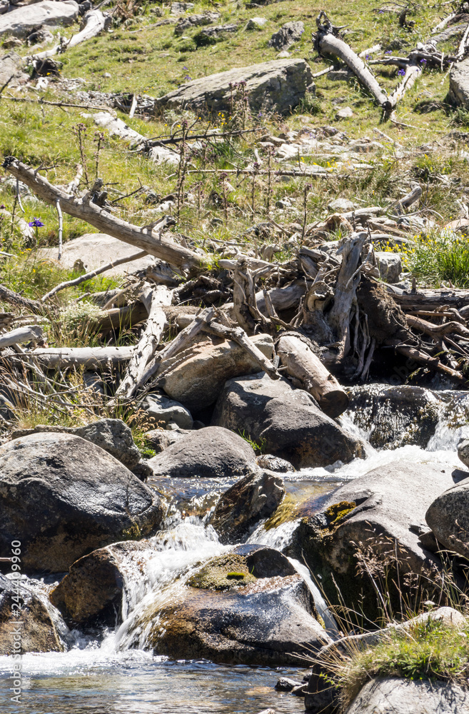 River in the Pyrenees in the Benasque valley in Spain on a sunny day. River in the Pyrenees in the Benasque valley in Spain on a sunny day.
