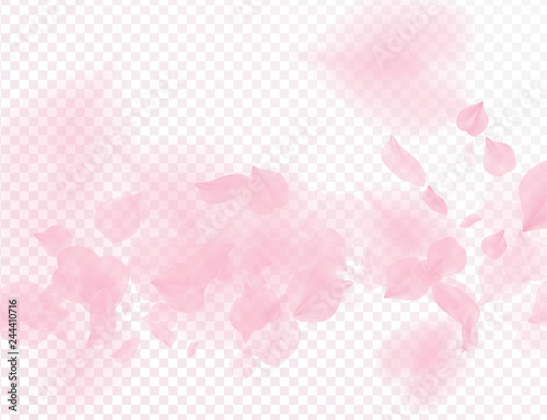 Pink sakura flower falling petals vector transparent background. 3D romantic valentines day illustration. Spring tender light backdrop. Overlay tenderness romance design.