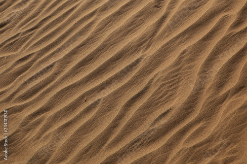 Textura de arena en el desierto © diegorayaces
