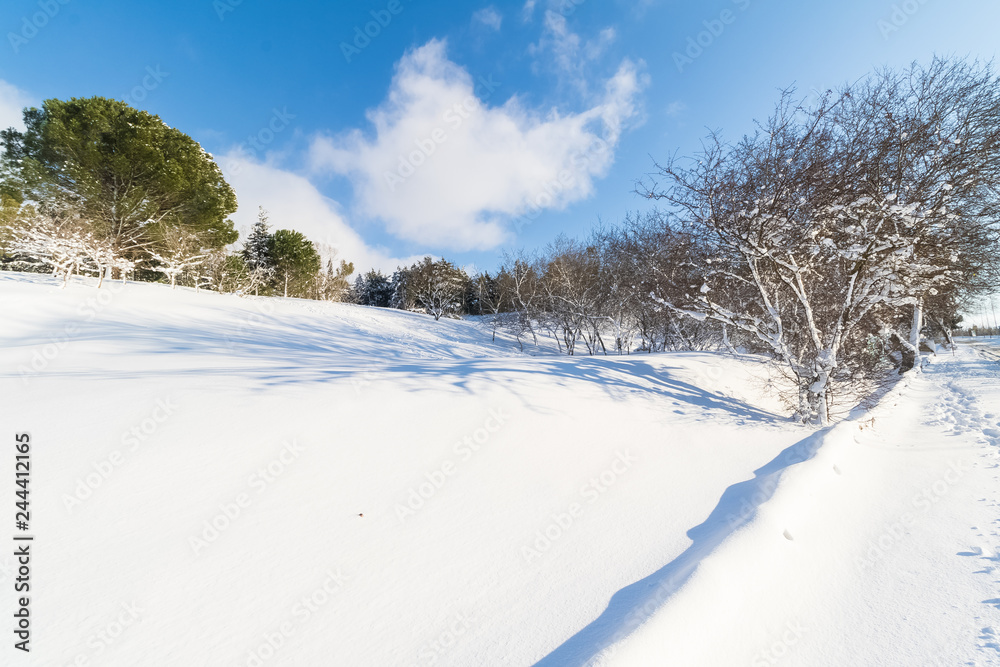 white snow with trees on mountain and hill, concept of travel and holiday on snow