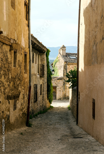 Fototapeta Naklejka Na Ścianę i Meble -  Pedraza, spanish rural village