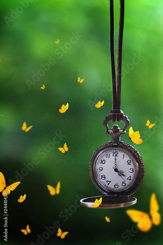 Butterflies flying around a brass pocket watch hanging from a leather rope