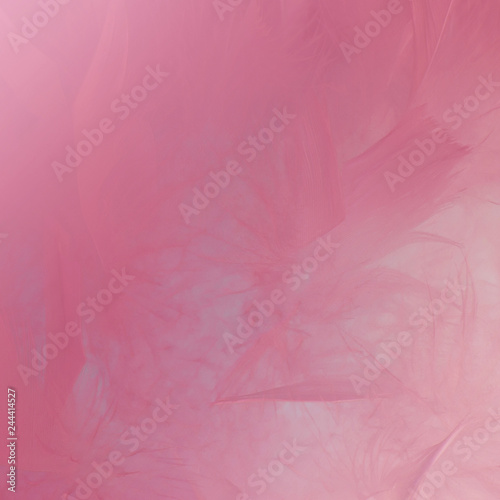 Abstract pink tone feathers background. Fluffy feather fashion design vintage bohemian style pastel texture.