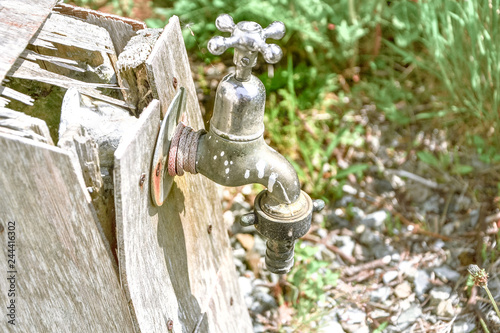 Old garden tap in a green garden in summer, macro close up with copy space