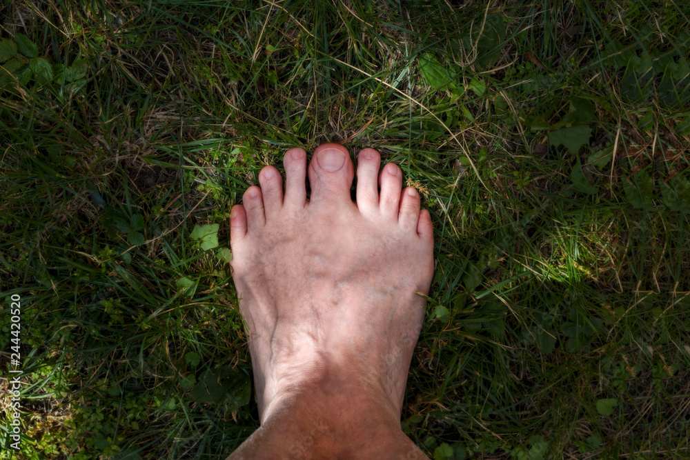Funny feet discount