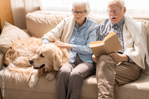 Portrait of happy senior couple sitting on couch with pet dog and reading books enjoying weekend at home in retirement