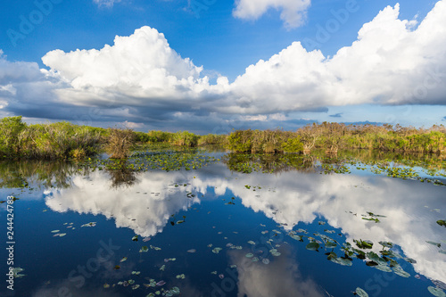 Anhinga Trail, Everglades National Park, Florida, United States