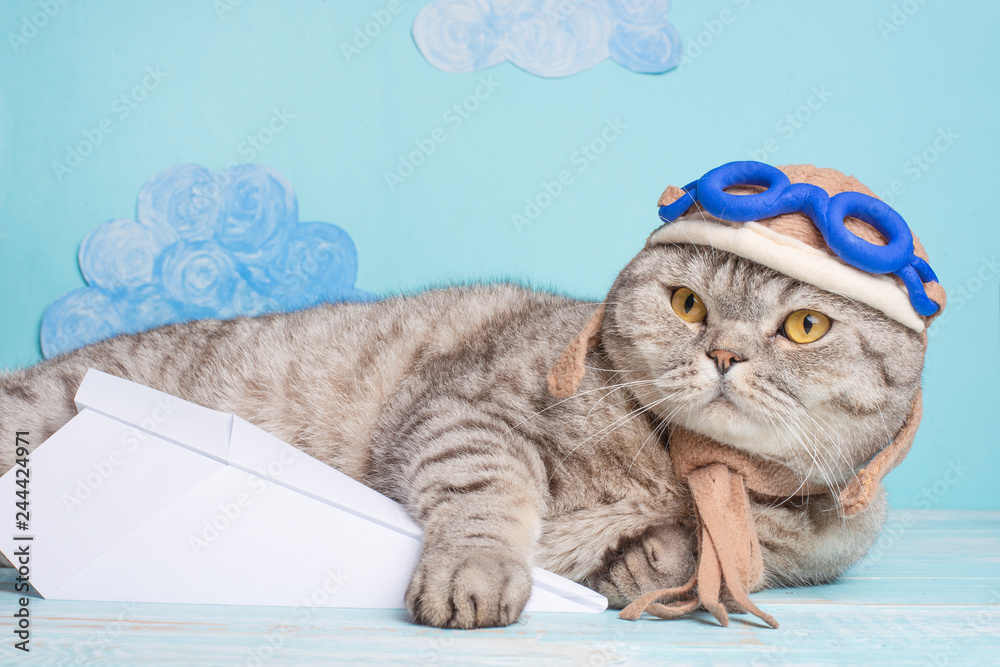 Naklejka premium Lying cute cat in a pilot's hat with glasses and a scarf, with an airplane. Funny cat