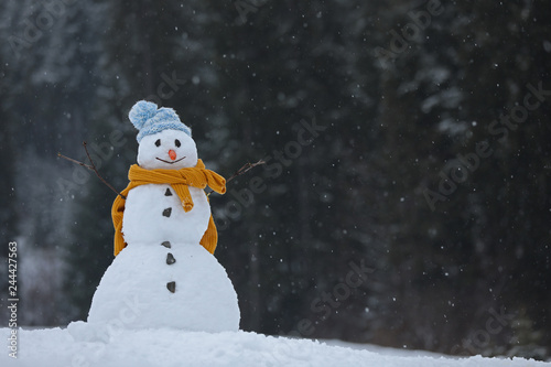 Fototapeta Adorable smiling snowman outdoors on winter day. Space for text