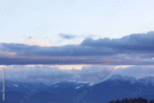 Beautiful mountain landscape with forest in winter