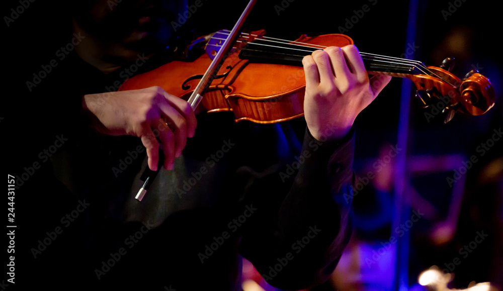 Fototapeta premium Musicians are playing the violin.