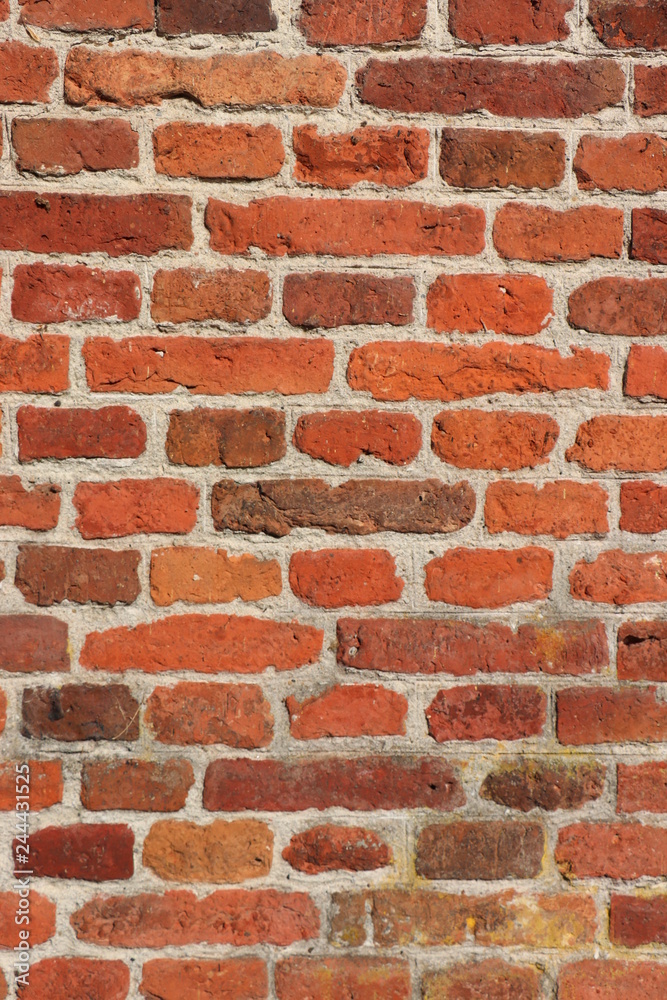 Obraz premium Old brick wall