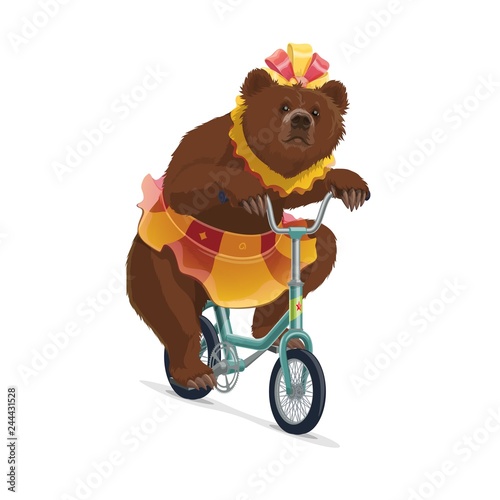 Isolated circus bear in skirt riding on bicycle