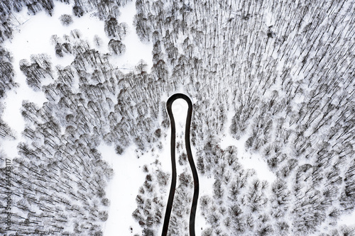 Fototapeta Aerial view of a beautiful serpentine road surrounded by a forest of pine trees and white snow