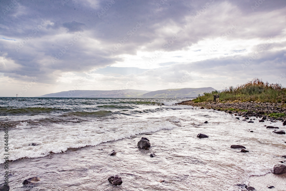 Fototapeta premium coast of the sea