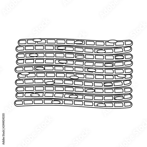 Isolated object of muscle and cells symbol. Collection of muscle and anatomy stock symbol for web.