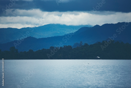view of tropical forest wit...