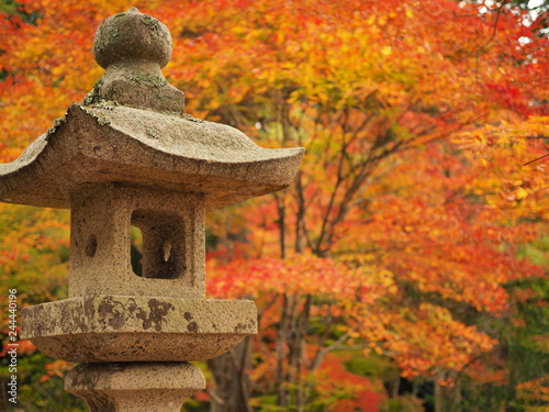 紅葉と石灯籠