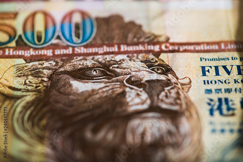 Canvas Print Hong Kong Dollar banknotes as money background.
