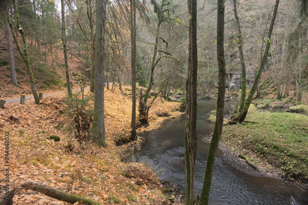 Waldlandschaft