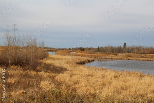 Late Autumn At The Wetlands  Edmonton  Alberta